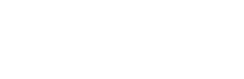 Mode Wireless Hoist